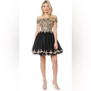 NWT Lenovia Off the shoulder Appliqué Tulle Dress